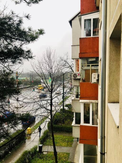 Nice Apt Near Spitalul Judetean, All You Need Lr14 Timisoara Bagian luar foto