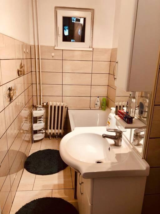 Nice Apt Near Spitalul Judetean, All You Need Lr14 Timisoara Bagian luar foto