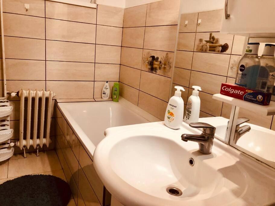 Nice Apt Near Spitalul Judetean, All You Need Lr14 Timisoara Bagian luar foto