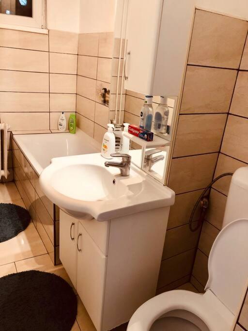 Nice Apt Near Spitalul Judetean, All You Need Lr14 Timisoara Bagian luar foto