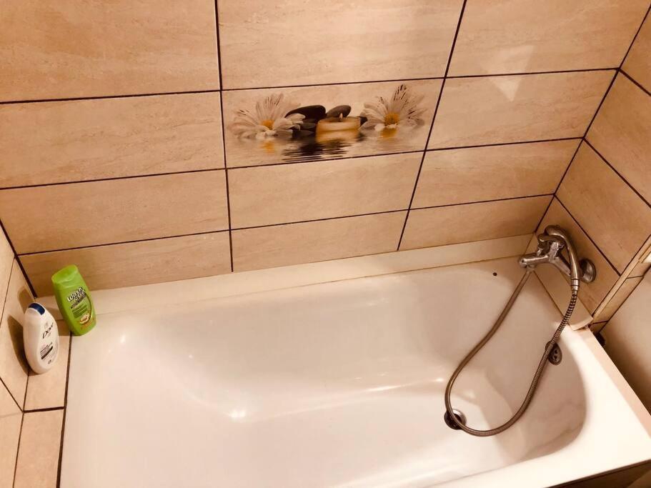 Nice Apt Near Spitalul Judetean, All You Need Lr14 Timisoara Bagian luar foto